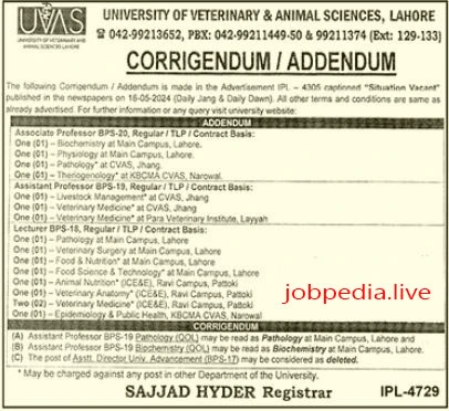 UVAS Jobs Available in Lahore May 2024